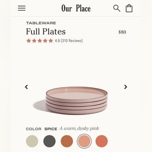 Set of 4 New Our Place Dinner Plates (4)